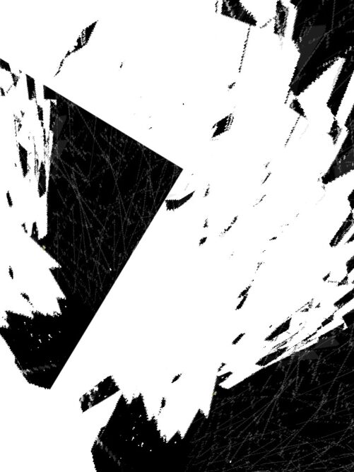 #036: A windswept white and black marbel hairlike glitch artwork creation.