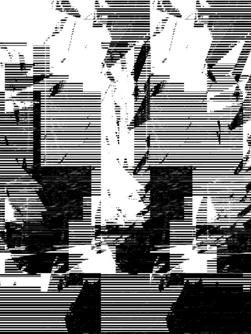 #038: A black and white piece of chaotic art with thin black and white barcode like lines.