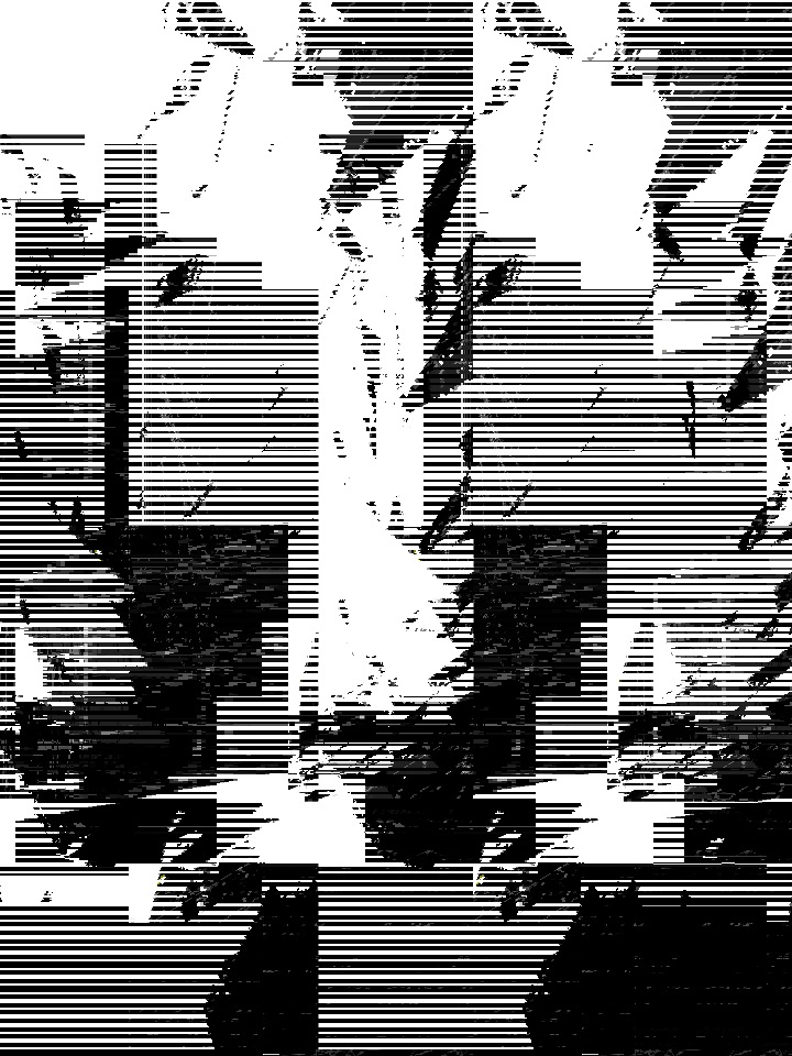 Glitch Art #038