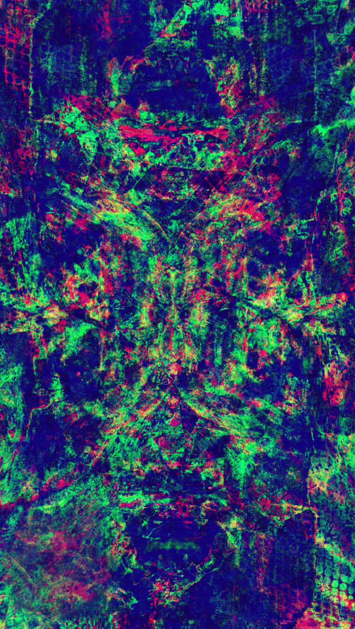 Fishnet Friends: Experimental Art Test